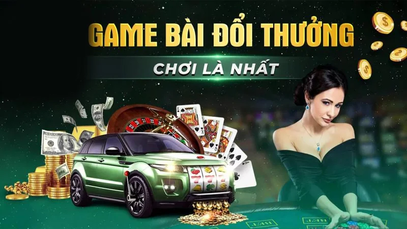 Tổng quan về NhatVip